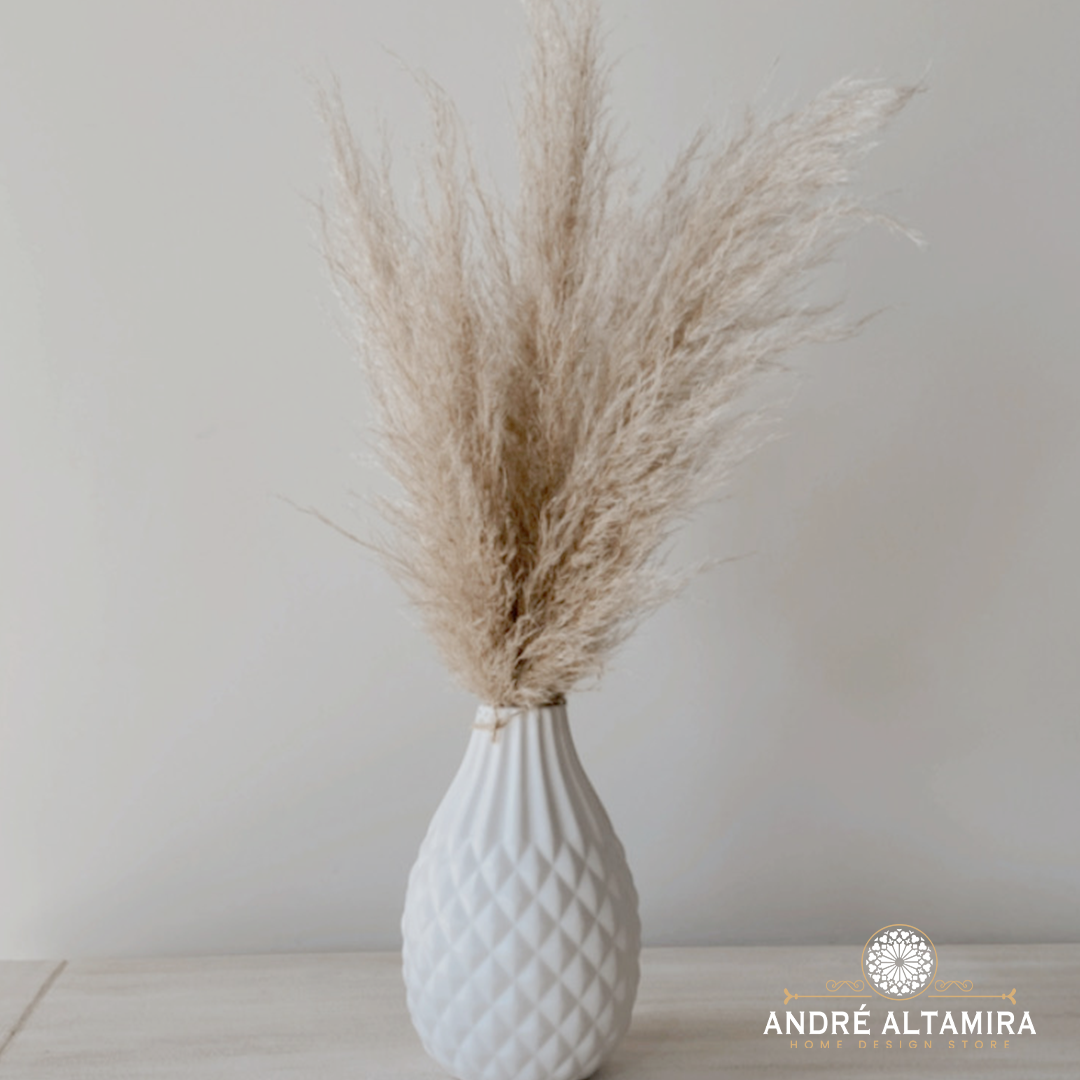 PAMPAS, COLAS DE CONEJO