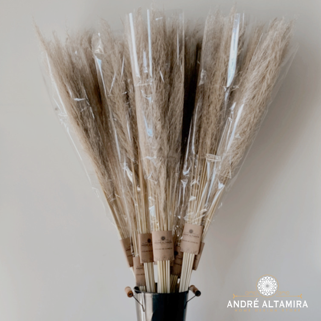 PAMPAS, COLAS DE CONEJO