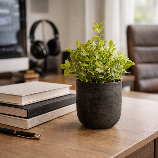 PLANTA DECORATIVA CON BASE NEGRA