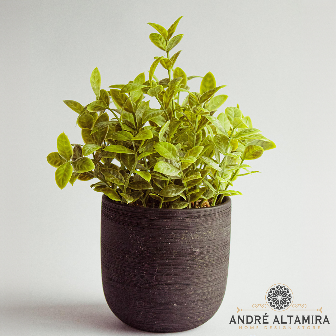 PLANTA DECORATIVA CON BASE NEGRA